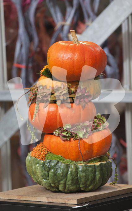bloemen en planten vvbvanbree     1126